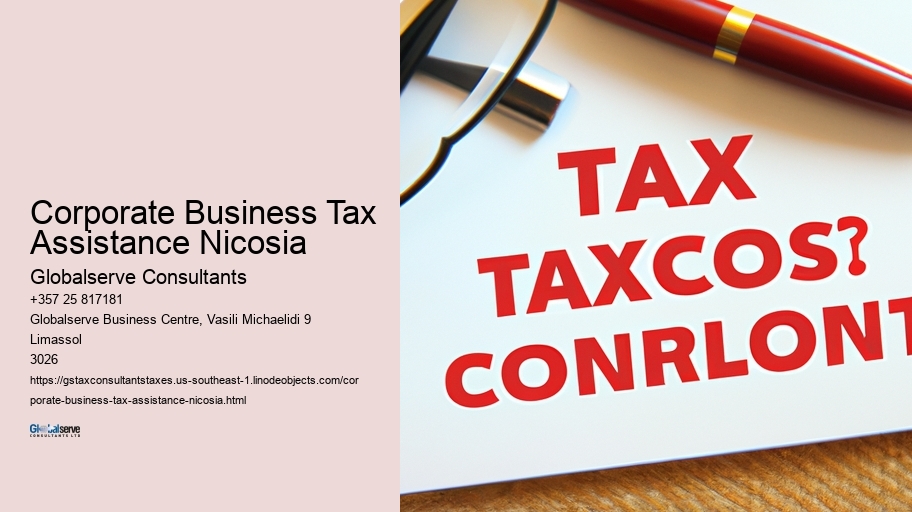 Corporate Business Tax Assistance Nicosia