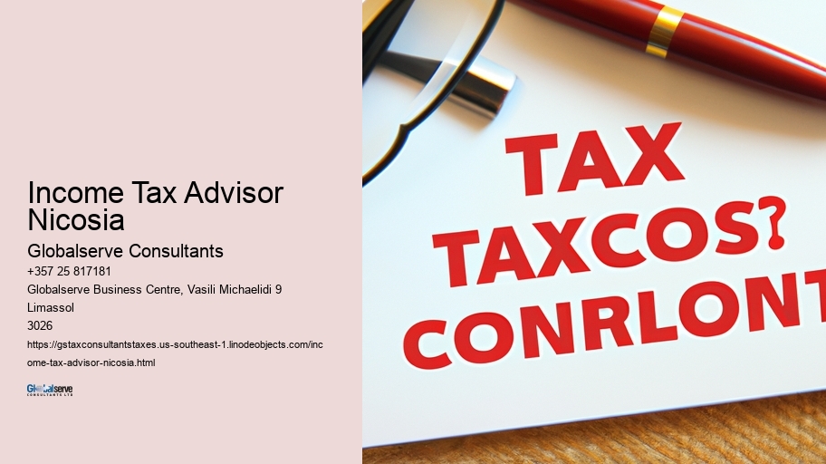 Income Tax Advisor Nicosia