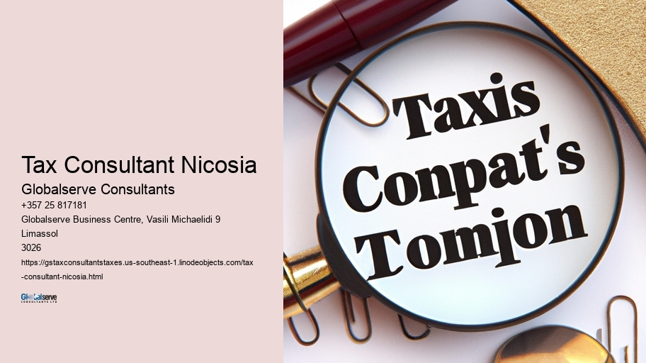 Tax Consultant Nicosia